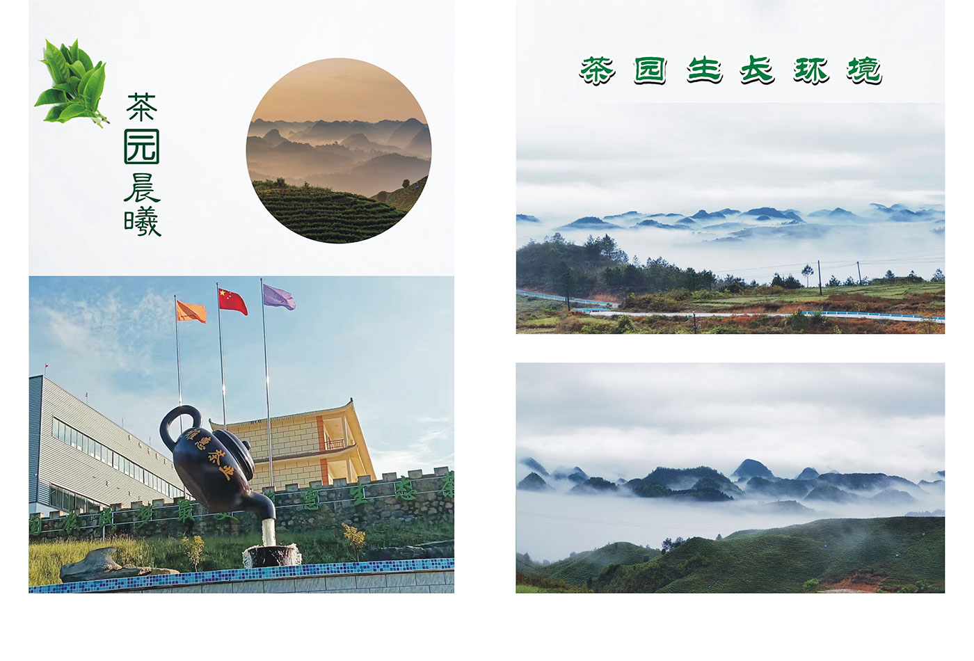 公司簡(jiǎn)介